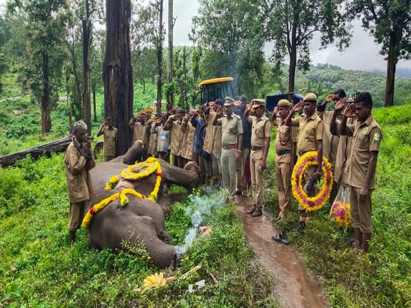 After the elephant's death in Coimbatore, forest officials and guards paid floral homage to her. (Photo: ANI)