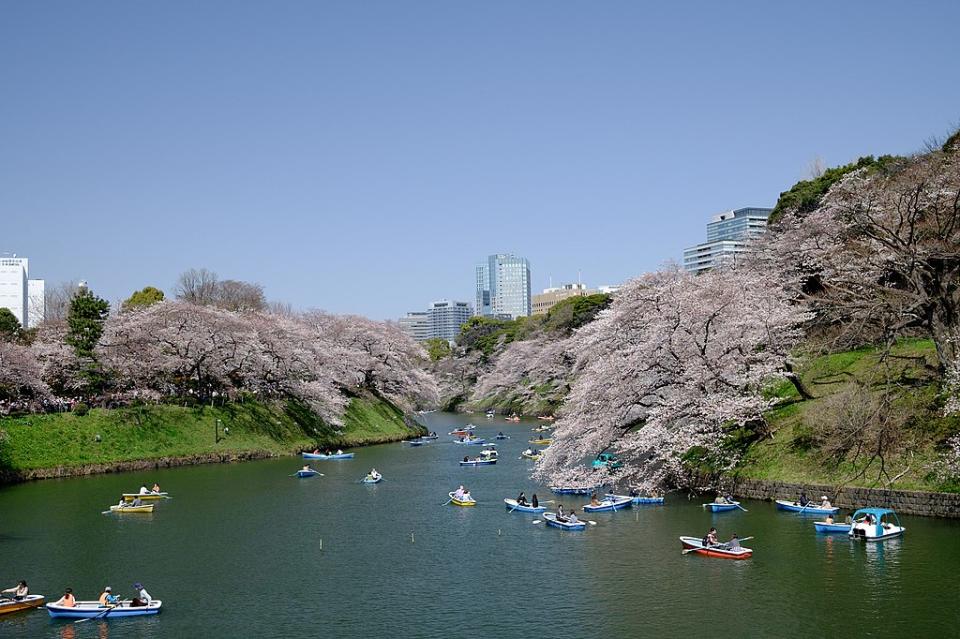 千鳥淵 (Photo by Jin Shiiba, License: CC BY 3.0, Wikimedia Commons提供, 圖片來源500px.com/photo/250808533/a-day-in-spring-by-Jin-Shiiba)