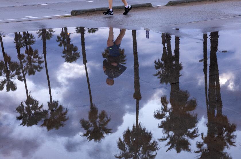 Santa Monica, CA - March 31: A jogger is reflected with palm trees in standing rain puddles along the beach path as a late season storm moves out of Southern California on Sunday, March 31, 2024 in Santa Monica, CA. (Brian van der Brug / Los Angeles Times)