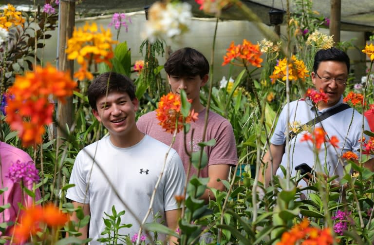 Unos turistas visitan la colección de orquídeas de Daniel Piedrahita en La Ceja, en el departamento de Antioquia, en Colombia, el 20 de junio de 2024 (Jaime Saldarriaga)