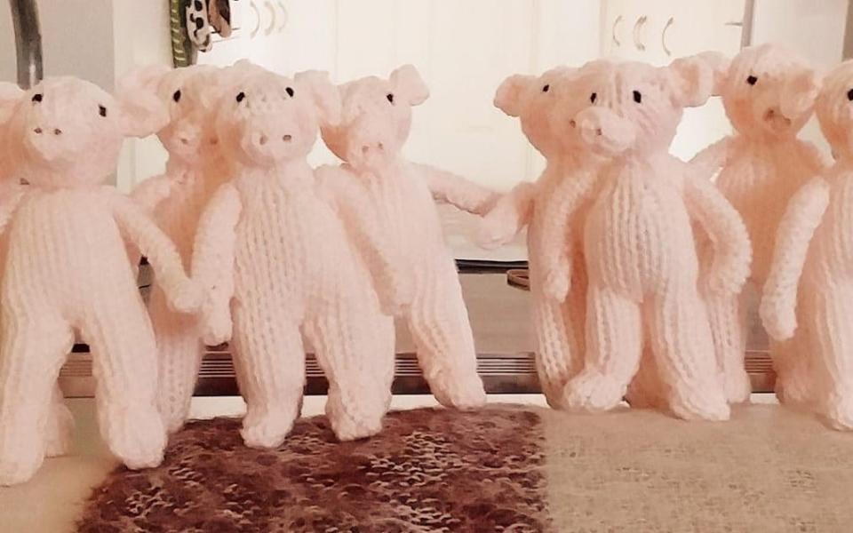 Rita Rich-Mulcahy, 81, has knitted 73 five-inch high woollen pigs