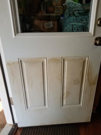 A before photo of a reviewer's dirty door 