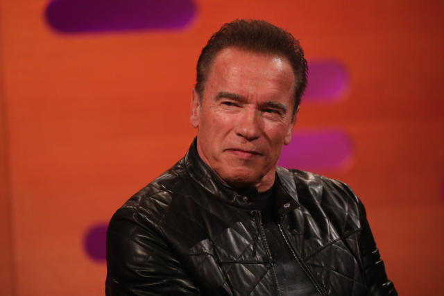 Arnold Schwarzenegger Hired Accent Removal Coach