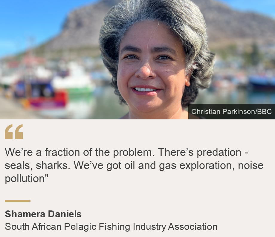 "We’re a fraction of the problem. There’s predation - seals, sharks. We’ve got oil and gas exploration, noise pollution"", Source: Shamera Daniels, Source description: South African Pelagic Fishing Industry Association, Image: Shamera Daniels