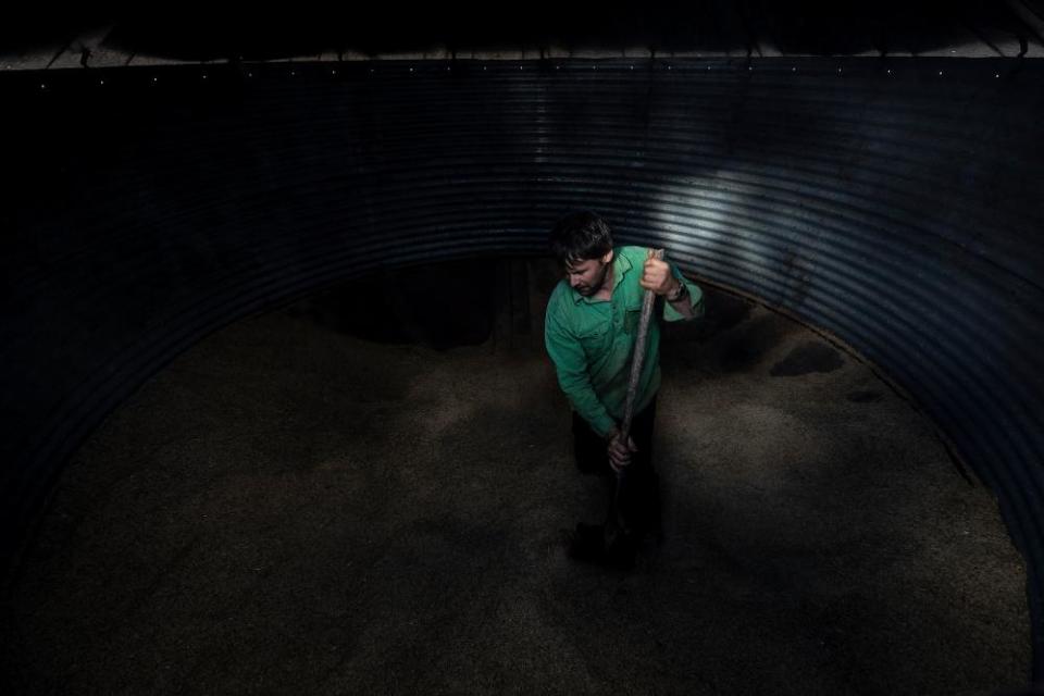 Robert Taylor scrapes the last of the families grain stores out to feed livestock.