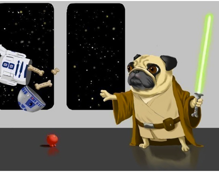 Jedi Pug