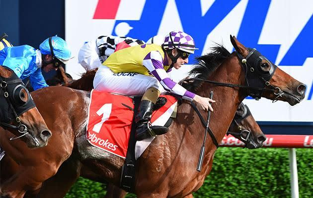 Caulfield is set for more Sydney dominance. Pic: Getty