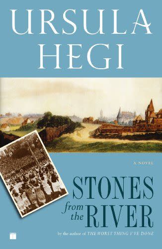 5) <i>Stones from the River,</i> by Ursula Hegi