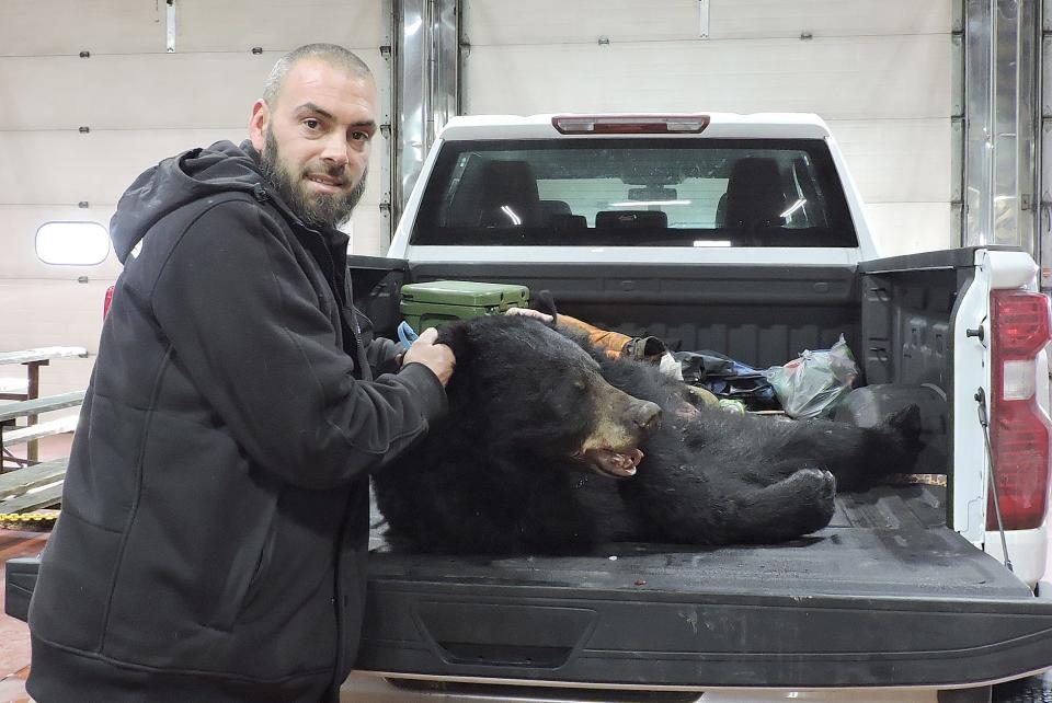 Ken Nichols of Fayette County checked his bear into the Game Commission Sunday morning in New Centerville. He bagged the bear Saturday while hunting in Forbes State Forest.          