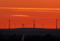 <p>A flock of birds flies past wind turbines just before sunrise in the outskirts of Frankfurt, Germany on March 28, 2017. A senior EU official says Wednesday, May 31, 2017, the EU and China will reaffirm their commitment to the Paris climate change accord this week, regardless of whether President Donald Trump pulls out of the pact. The official told reporters that the EU and China will also “spell out” how they plan to meet their commitments to the accord at talks in Brussels on Friday. (AP Photo/Michael Probst) </p>