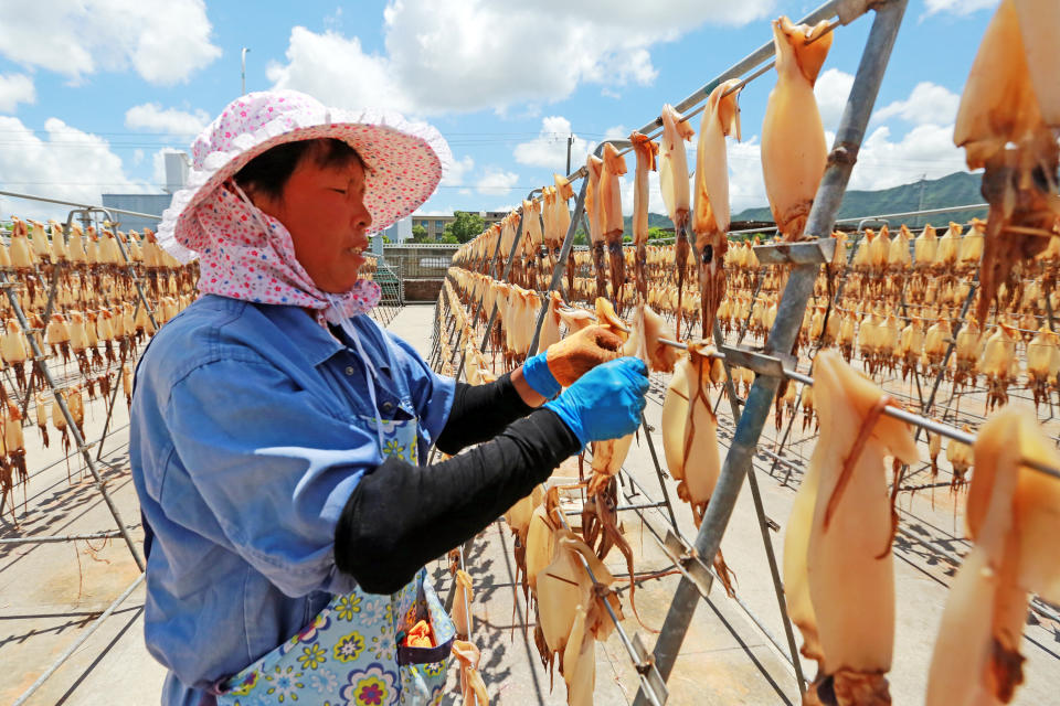 A food company employee dries squid on Aug. 2, 2019, in Zhoushan, China. (Photo: VCG via Getty Images)