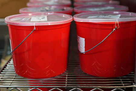 Buckets which hold human brains stored in formaldehyde are pictured at a brain bank in the Bronx borough of New York City, New York, U.S. June 28, 2017. REUTERS/Carlo Allegri