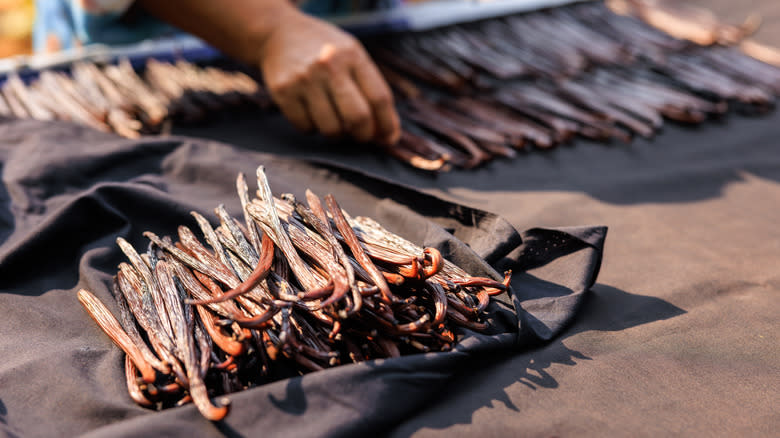 worker on vanilla bean farm