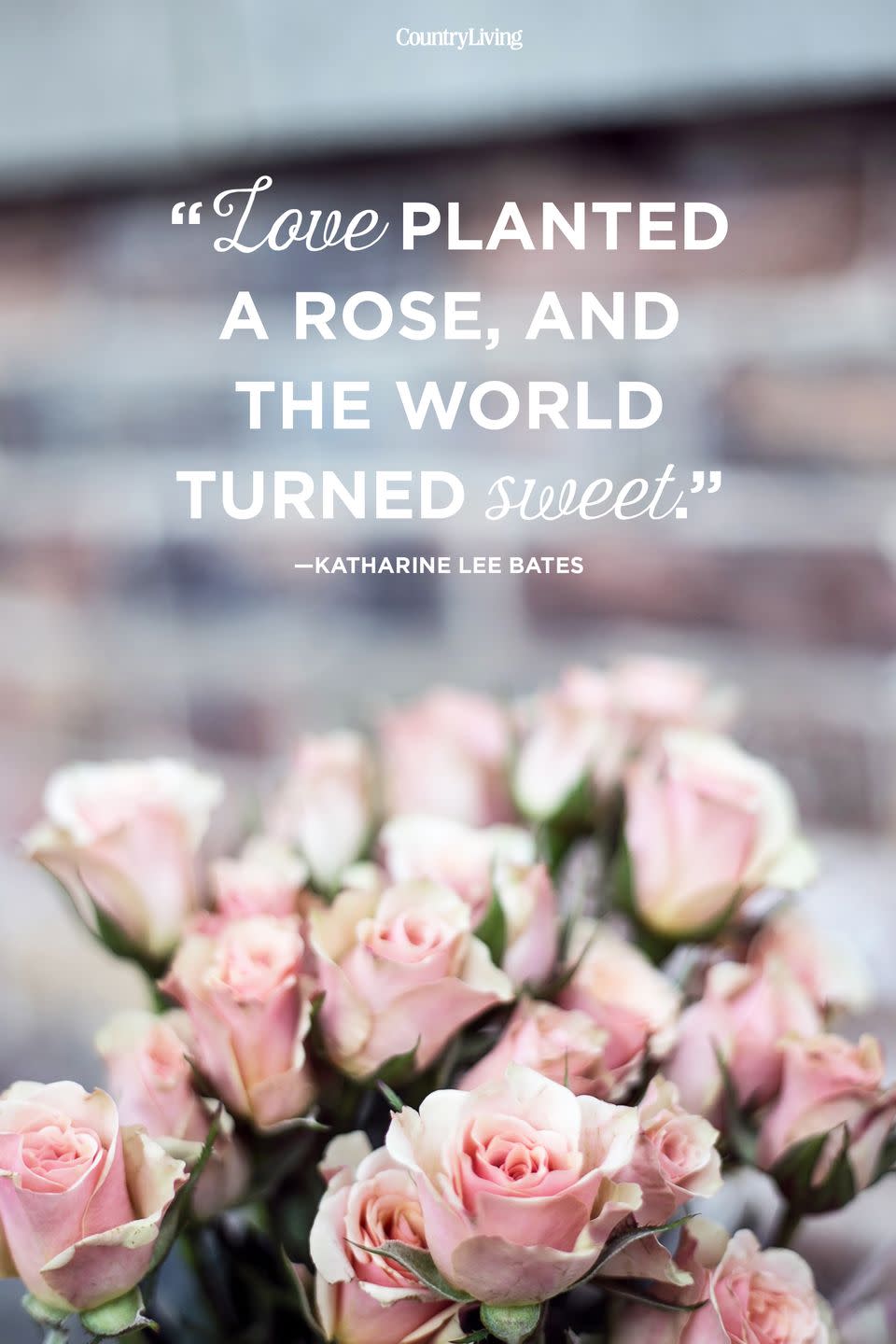 <p>"Love planted a rose, and the world turned sweet."</p>