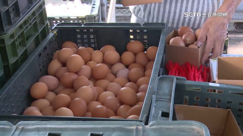 業者表示，雞蛋價格有凍漲，不然原本一箱要價1000元。