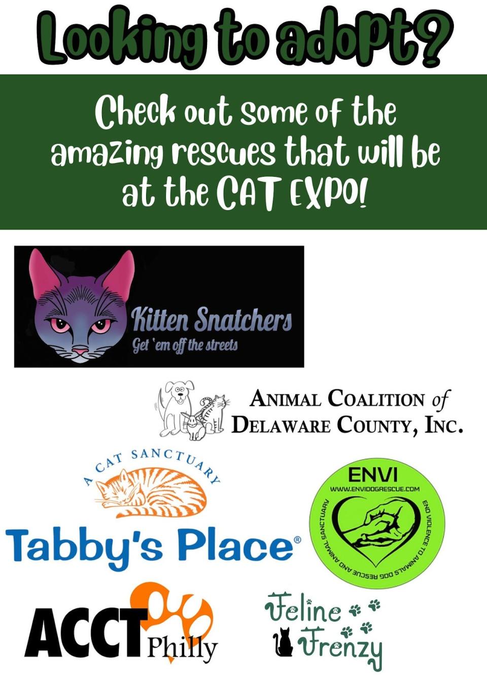 Everything you need to know about the annual Feline Frenzy Cat Expo in Oaks