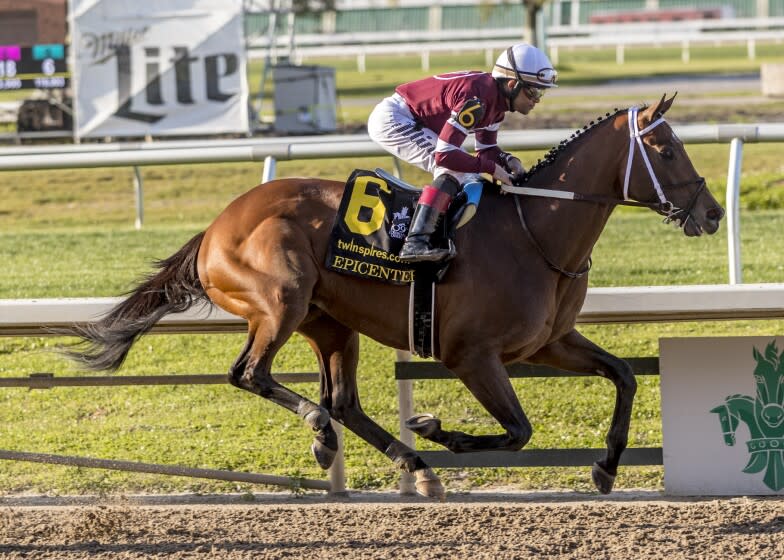 In a photo provided by Benoit Photo, Epicenter, with Joel Rosario aboard, wins the $1 million Louisiana Derby horse race at Fair Grounds on Saturday, March 26, 2022. The first Triple Crown in decades without Bob Baffert's presence begins with the Kentucky Derby, where Epicenter is expected to be the favorite. (Lou Hodges Jr./Hodges Photography via AP, File)