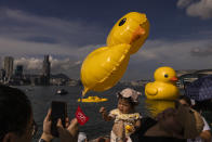 An art installation called "Double Ducks" by Dutch artist Florentijn Hofman as one of the duck is deflated at Victoria Harbour in Hong Kong, Saturday, June 10, 2023. (AP Photo/Louise Delmotte)