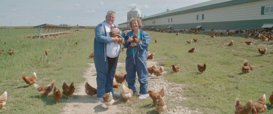 Massentierhaltung muss nicht gegen das Tierwohl verstoßen, wie eine Hühnerfarm in den Vereinigten Staaten beweist. Foto: ZDF / Mathias Denizo