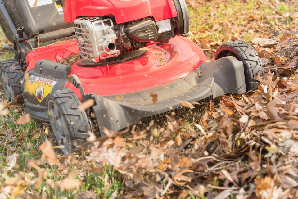 How to mulch leaves