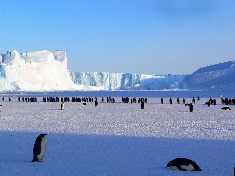 智利軍方透露位在南極的軍事基地有36人染疫。（Pixabay提供）