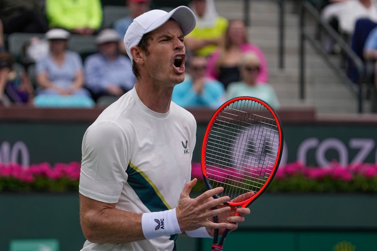 Andy Murray won at Indian Wells (Mark J. Terrill/AP) (AP)