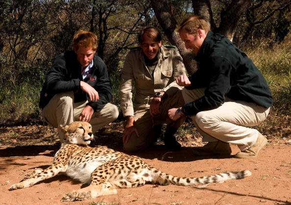 Prince William And Prince Harry Visit Africa - Day 2