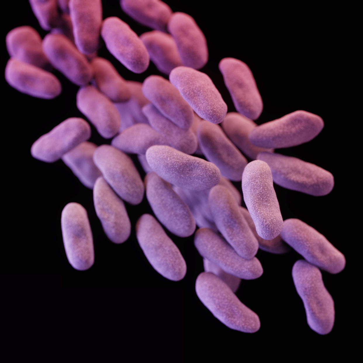 Carbapenem-Resistant Enterobacteriaceae (CRE). (Photo: Getty Images)