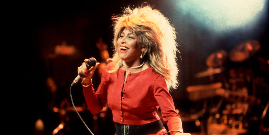 tina turner at the poplar creek music theater