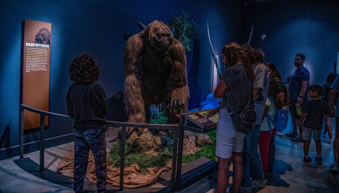 Visitors look at a Gigantopithecus, an extinct genus of ape from roughly 2 million to 350,000 years ago, part of the “Mythic Creatures: Dragons, Unicorns & Mermaids”, exhibition on display at the HistoryMiami Museum, The exhibition opening on July 8th, traces the natural and cultural roots of some of the world’s most enduring mythological creatures from Asia, Europe, the Americas, and beyond, and even how Miamians embrace their own mythic fantasies. Organized by theAmerican Museum of Natural History in New York, on Saturday, July 08, 2023. Pedro Portal/pportal@miamiherald.com