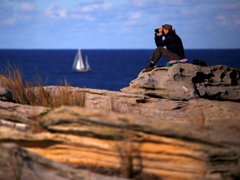 Eine Frau schaut durch ihr Fernglas, während im Hintergrund ein Segelboot vor der Küste Sydneys über das Meer schippert. (Bild: Reuters/David Gray) 