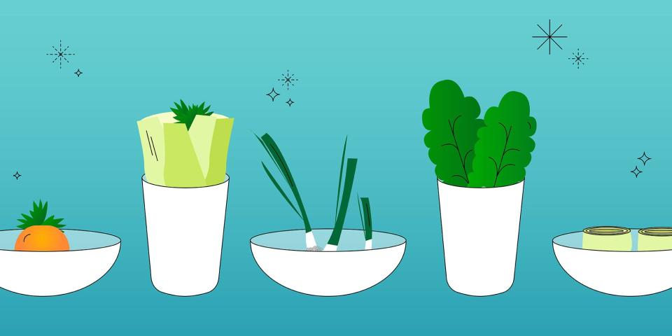 6 Veggies You Can Regrow On Your Windowsill