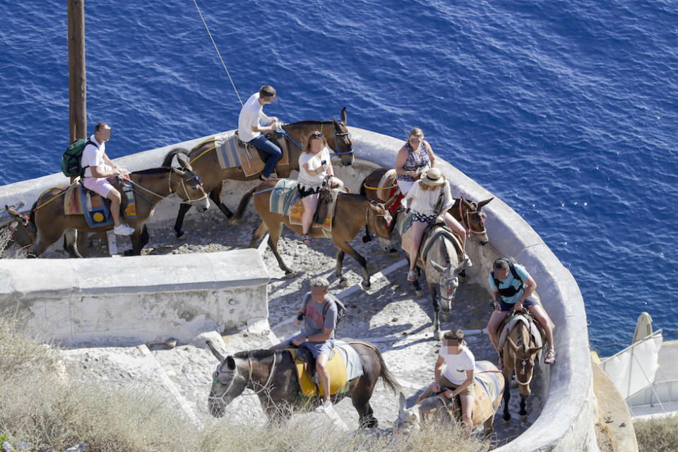 Donkey rides are popular with tourists at Santorini (Picture: Caters)