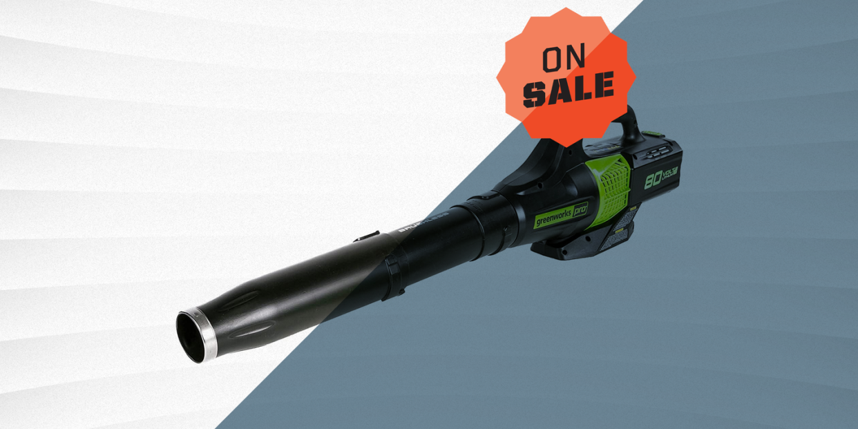 cordless leaf blower sale