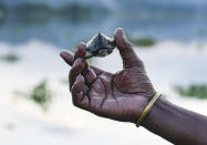 A man holds a turtle which was found in floodwater, at Panikhaiti in Kamrup district of Assam in India on Wednesday, July 15, 2020. (Photo by David Talukdar/NurPhoto via Getty Images)