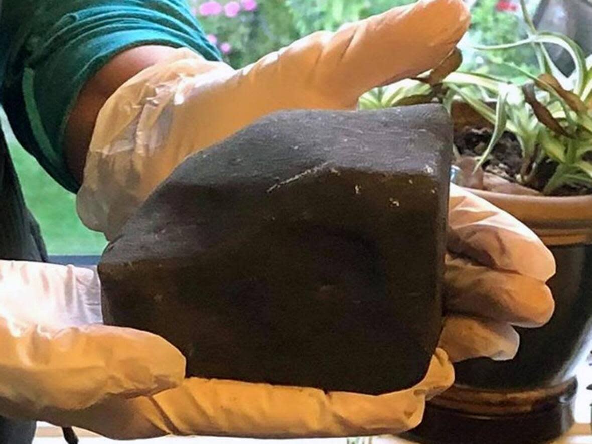 At the size of a melon, this charcoal grey rock originated from the early solar system before crash landing on a B.C. woman's floral bedspread.  (Submitted by Phil McCausland - image credit)