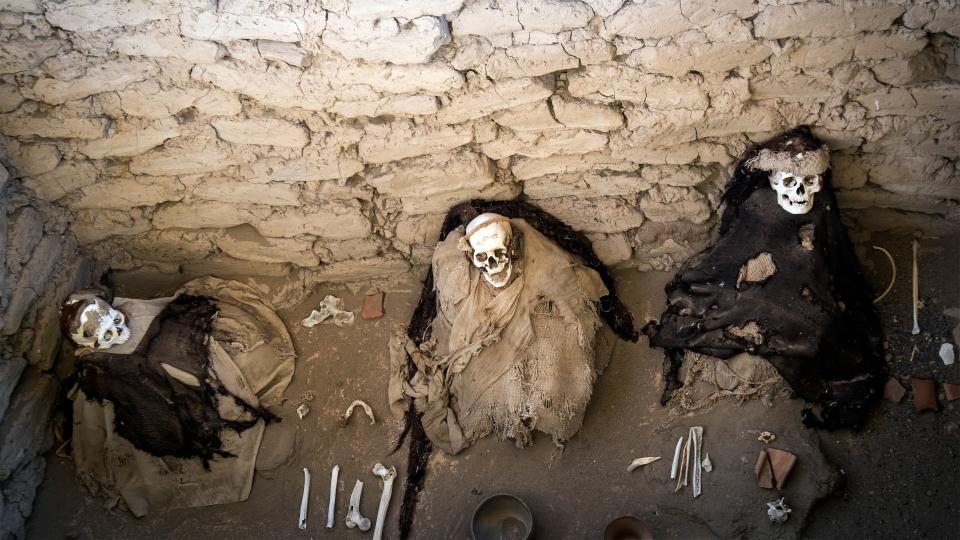 Photo of Chauchilla cemetery. There are three skeletons dressed in cloaks.