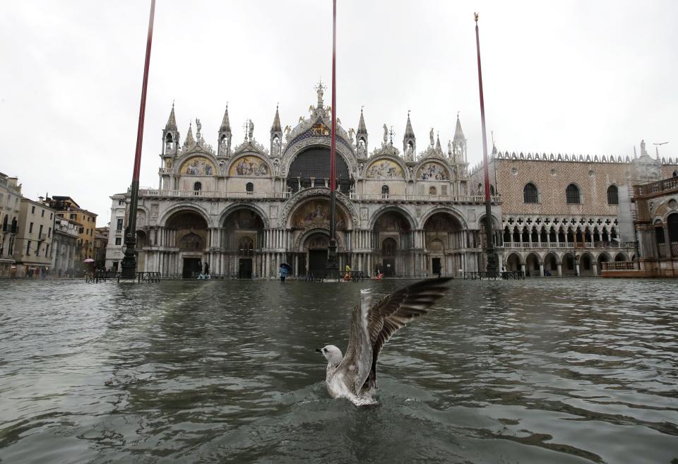 A seagull flies off the water in a flooded St.Mark Square, in Venice, Italy, Tuesday, Nov. 12, 2019. (Photo: Luca Bruno/AP)