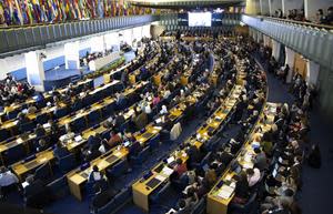 The global biodiversity strategy is currently being renegotiated (here at the Open-ended Working Group on the Post-2020 Global Biodiversity Framework, Feb. 2020 in Rome)
Photo by IISD/Mike Muzurakis (enb.iisd.org/biodiv/post2020/oewg/2/24feb.html)