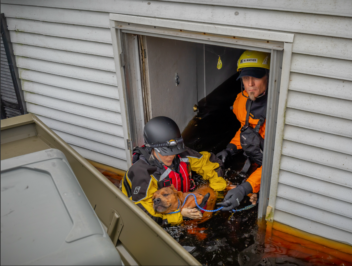 American Humane has been in North Carolina bringing pets to safety for nearly two weeks. (Photo: Kenn Bell for American Humane and Code 3 Associates)