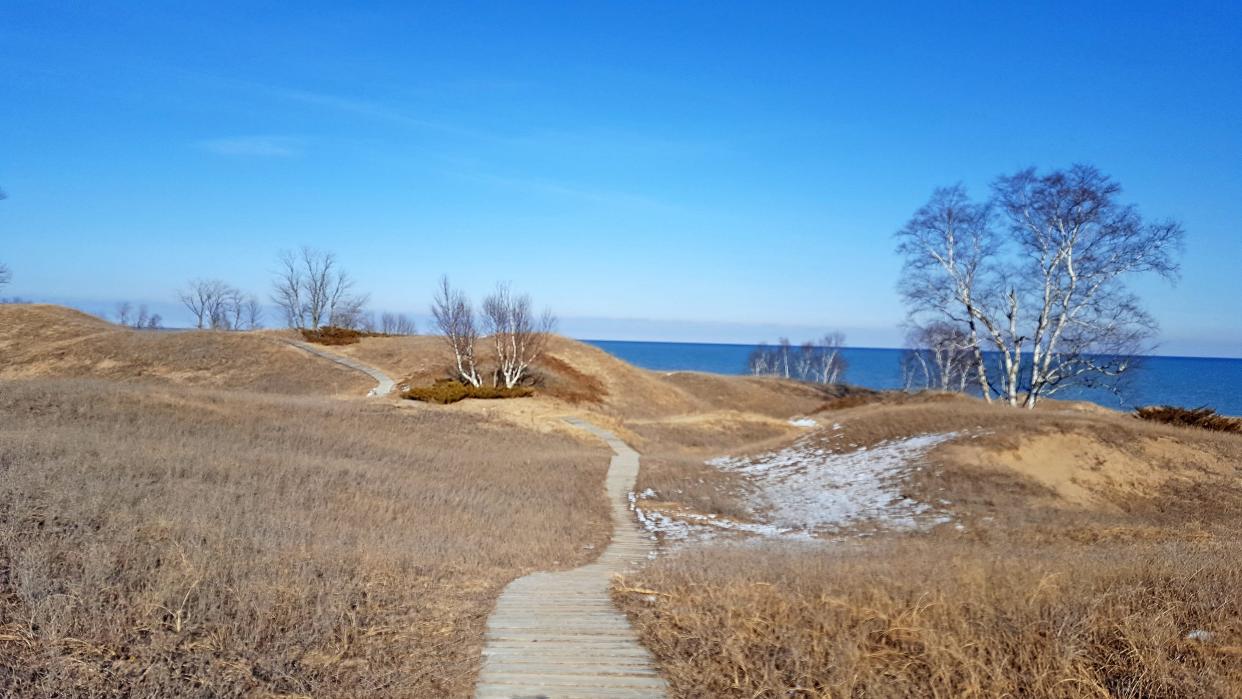 The Dunes Cordwalk travels through Kohler-Andrae State Park in Sheboygan.