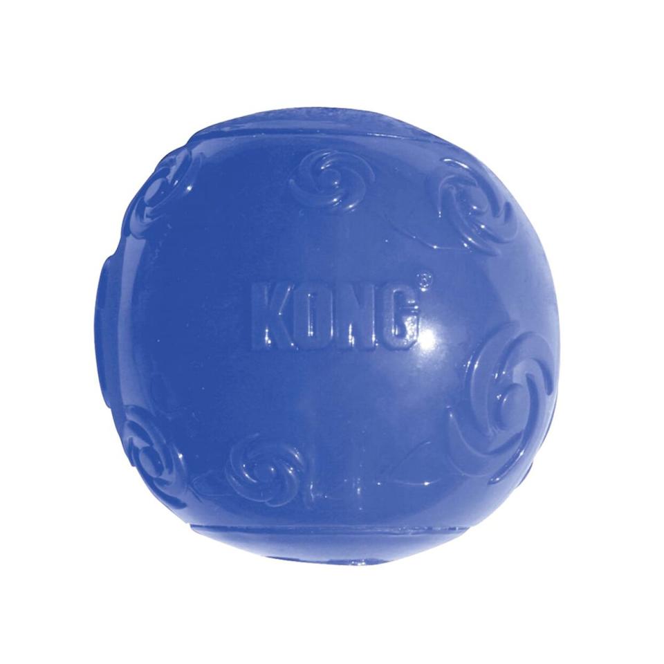 Blue Kong Squeezz Ball Dog Toy on a white background