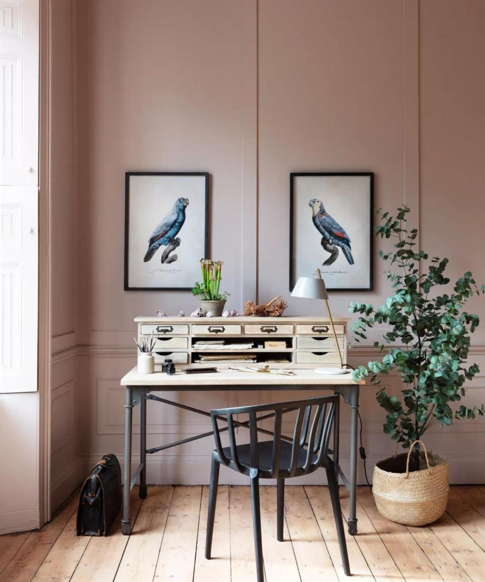 A pink home office with desk and chair next to a tall plant in basket