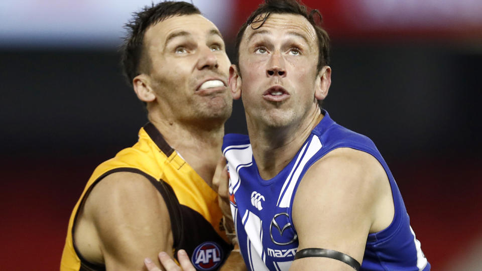 North Melbourne ruckman Todd Goldstein is pictured playing against Hawthorn's Jon Ceglar.