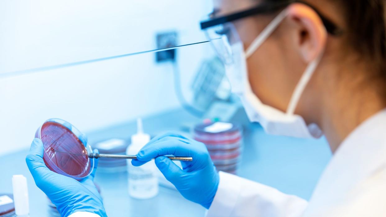 scientist analyzing sample in the laboratory