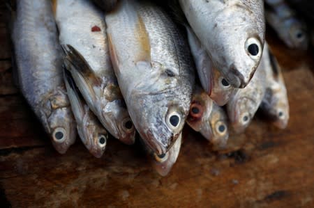 FILE PHOTO: Fish on display in a fish market at the Fisherman's Wharf in La Libertad, El Salvador