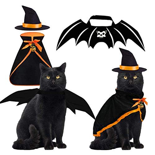 get your paws on these adorable petfriendly halloween costumes