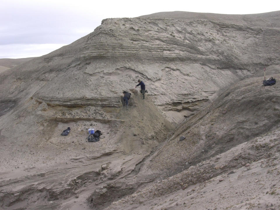 Professors Eske Willerslev and Kurt H. Kjaer expose fresh layers for sampling of sediments at Kap Kobenhavn, Greenland. Scientists have analyzed 2-million-year-old DNA extracted from dirt samples in the area, revealing an ancient ecosystem unlike anything seen on Earth today, including traces of mastodons and horseshoe crabs roaming the Arctic. (Svend Funder via AP)