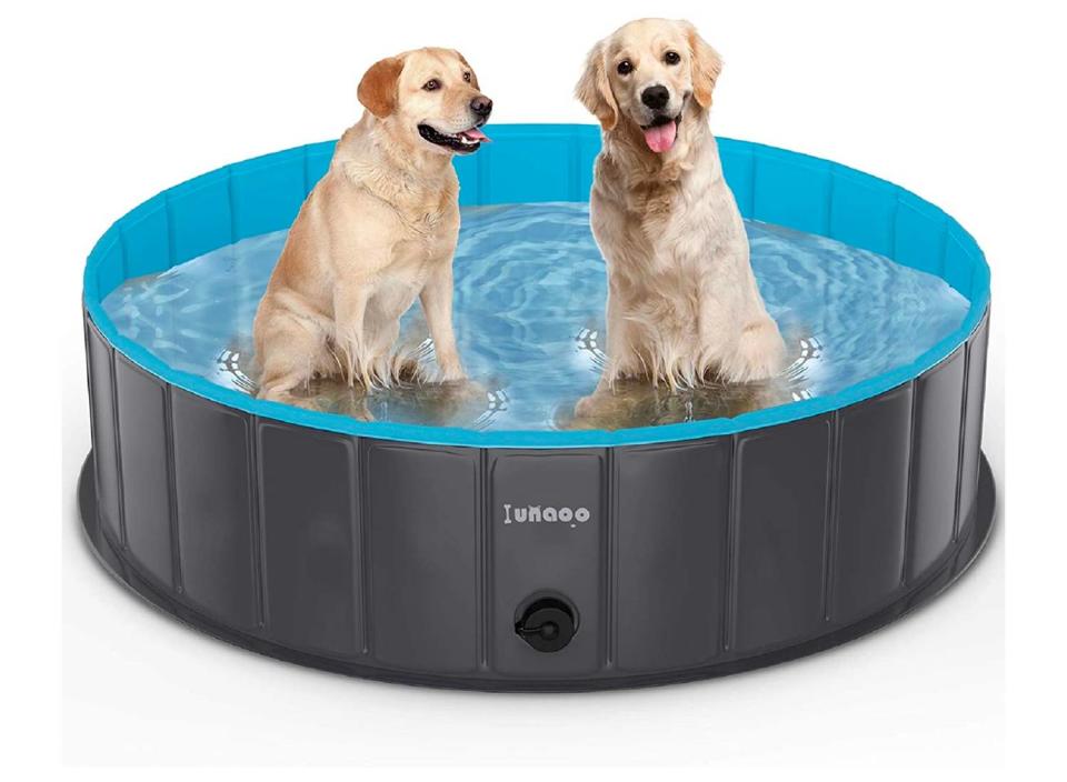 This easy-to-set-up pool will surely be a hit with your overheated pups. (Source: Amazon)