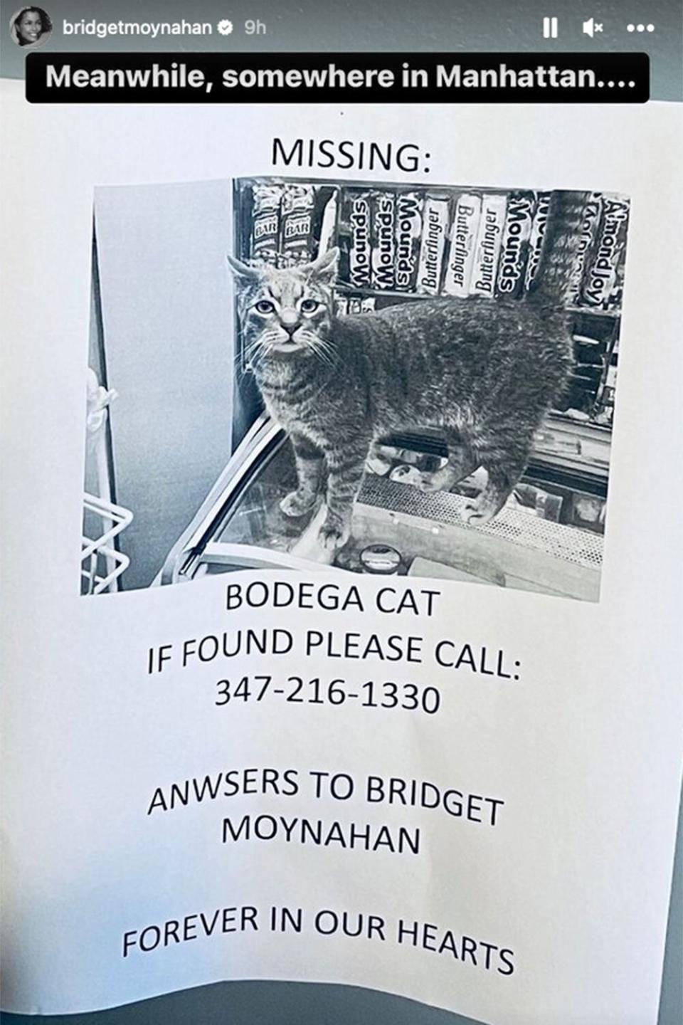 Bridget Moynahan posted on her Instagram story a photo of a missing cat flyer of a cat that is called "Bridget Moynahan."  https://www.instagram.com/stories/bridgetmoynahan/3014899209799737453/?hl=en